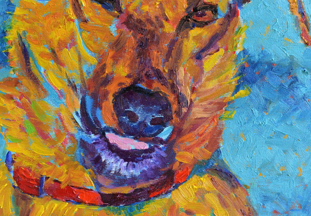 obraz z psem psy do adopcji schronisko malarstwo portret psa