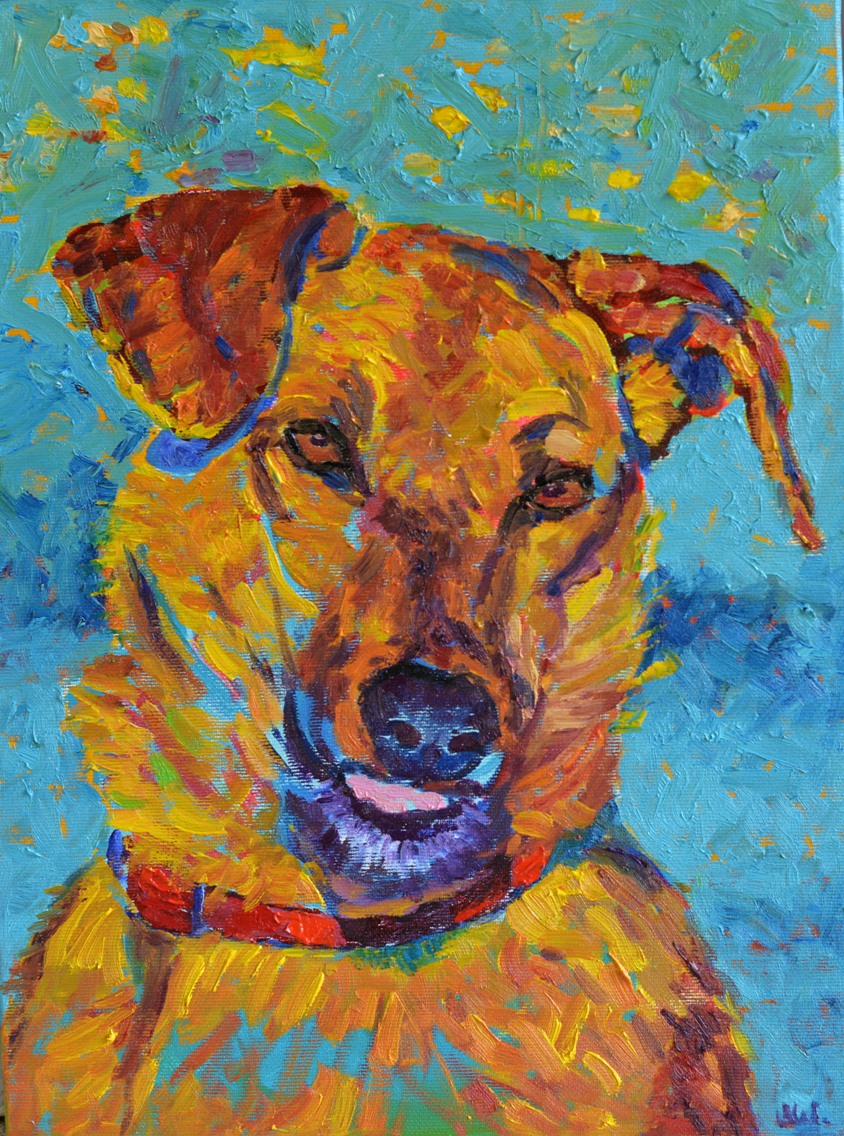 obraz z psem psy do adopcji schronisko malarstwo portret psa